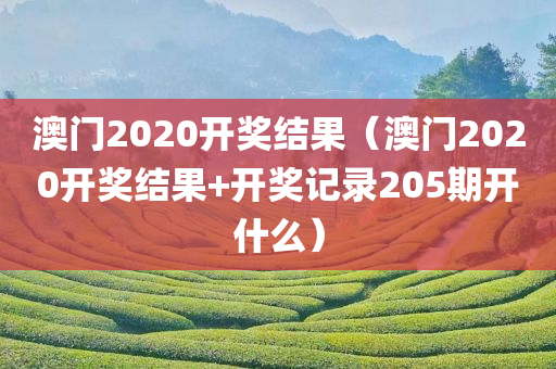 澳门2020开奖结果（澳门2020开奖结果+开奖记录205期开什么）