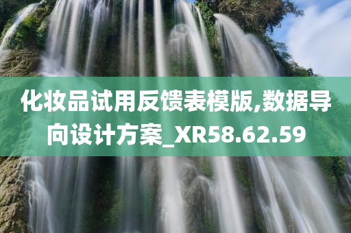 化妆品试用反馈表模版,数据导向设计方案_XR58.62.59