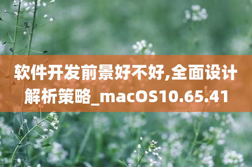 软件开发前景好不好,全面设计解析策略_macOS10.65.41