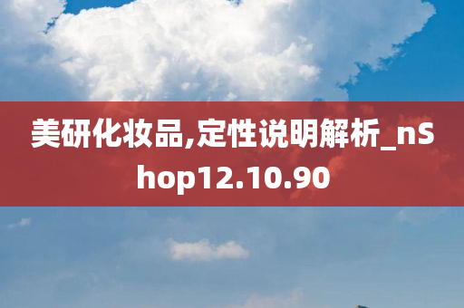 美研化妆品,定性说明解析_nShop12.10.90