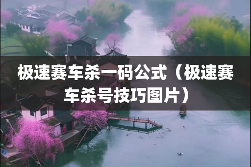 极速赛车杀一码公式（极速赛车杀号技巧图片）