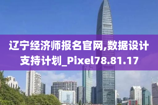 辽宁经济师报名官网,数据设计支持计划_Pixel78.81.17