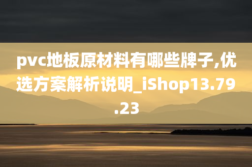 pvc地板原材料有哪些牌子,优选方案解析说明_iShop13.79.23