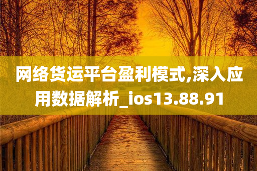 网络货运平台盈利模式,深入应用数据解析_ios13.88.91