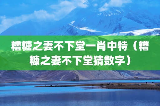 糟糖之妻不下堂一肖中特（糟糠之妻不下堂猜数字）