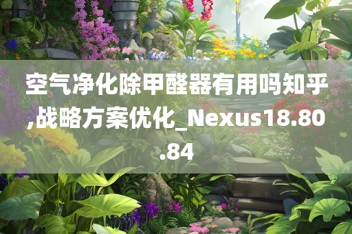 空气净化除甲醛器有用吗知乎,战略方案优化_Nexus18.80.84