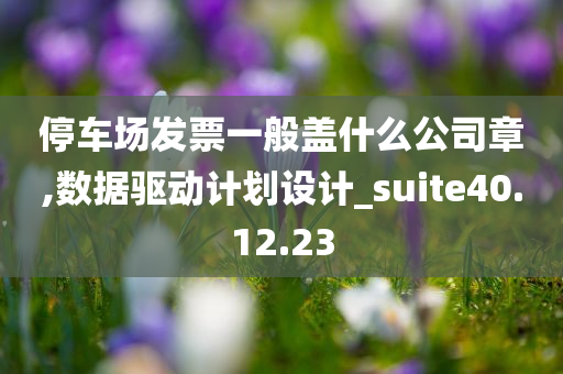 停车场发票一般盖什么公司章,数据驱动计划设计_suite40.12.23