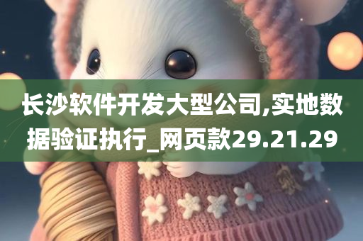 长沙软件开发大型公司,实地数据验证执行_网页款29.21.29