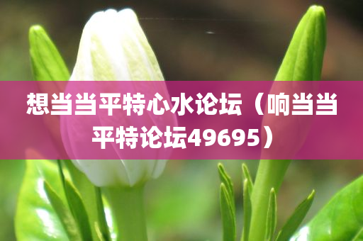 想当当平特心水论坛（响当当平特论坛49695）