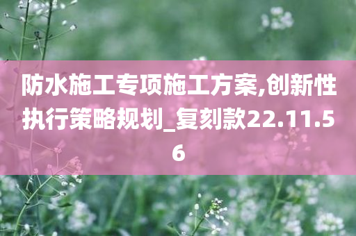 防水施工专项施工方案,创新性执行策略规划_复刻款22.11.56