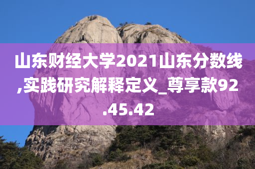 山东财经大学2021山东分数线,实践研究解释定义_尊享款92.45.42