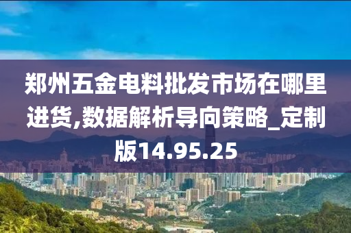 郑州五金电料批发市场在哪里进货,数据解析导向策略_定制版14.95.25