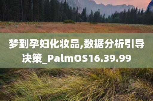 梦到孕妇化妆品,数据分析引导决策_PalmOS16.39.99