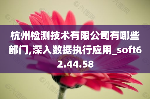 杭州检测技术有限公司有哪些部门,深入数据执行应用_soft62.44.58