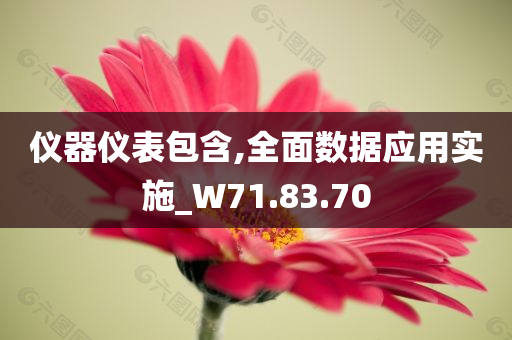 仪器仪表包含,全面数据应用实施_W71.83.70