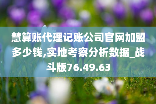 慧算账代理记账公司官网加盟多少钱,实地考察分析数据_战斗版76.49.63