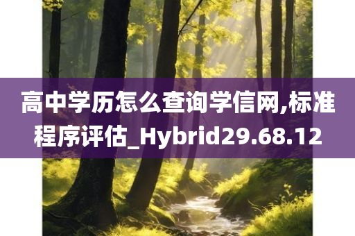 高中学历怎么查询学信网,标准程序评估_Hybrid29.68.12