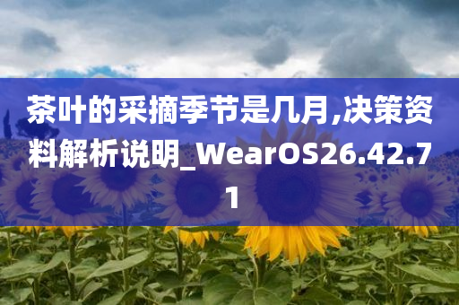 茶叶的采摘季节是几月,决策资料解析说明_WearOS26.42.71