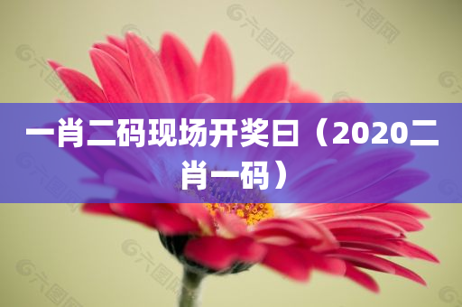 一肖二码现场开奖曰（2020二肖一码）