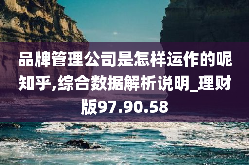 品牌管理公司是怎样运作的呢知乎,综合数据解析说明_理财版97.90.58