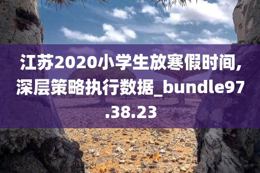 江苏2020小学生放寒假时间,深层策略执行数据_bundle97.38.23