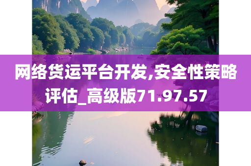 网络货运平台开发,安全性策略评估_高级版71.97.57