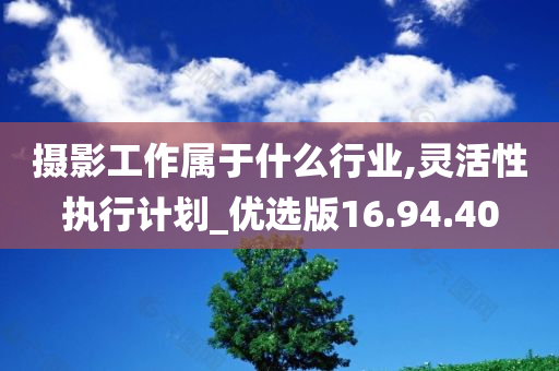 摄影工作属于什么行业,灵活性执行计划_优选版16.94.40