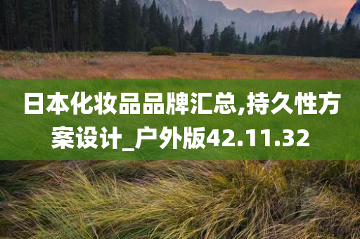 日本化妆品品牌汇总,持久性方案设计_户外版42.11.32