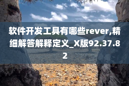 软件开发工具有哪些rever,精细解答解释定义_X版92.37.82