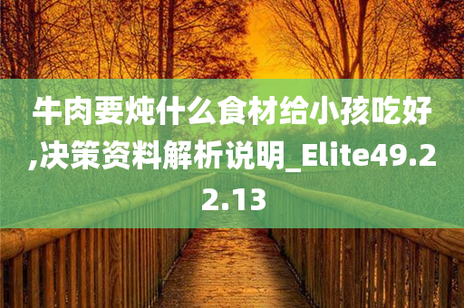 牛肉要炖什么食材给小孩吃好,决策资料解析说明_Elite49.22.13