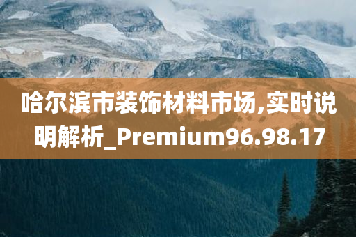 哈尔滨市装饰材料市场,实时说明解析_Premium96.98.17