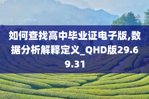 如何查找高中毕业证电子版,数据分析解释定义_QHD版29.69.31