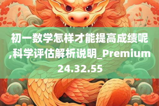 初一数学怎样才能提高成绩呢,科学评估解析说明_Premium24.32.55