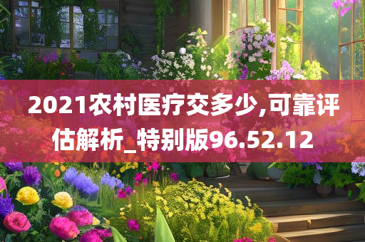 2021农村医疗交多少,可靠评估解析_特别版96.52.12