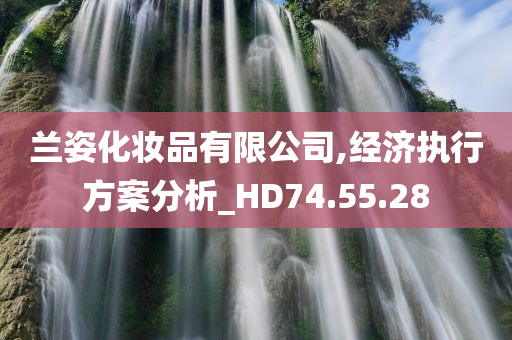 兰姿化妆品有限公司,经济执行方案分析_HD74.55.28