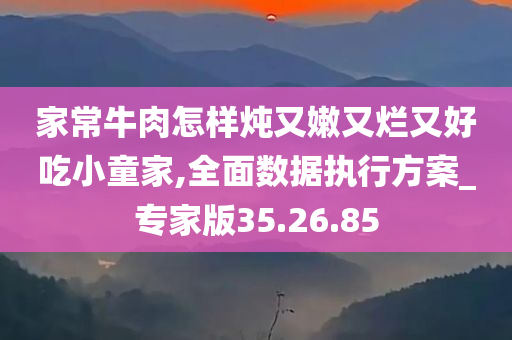 家常牛肉怎样炖又嫩又烂又好吃小童家,全面数据执行方案_专家版35.26.85