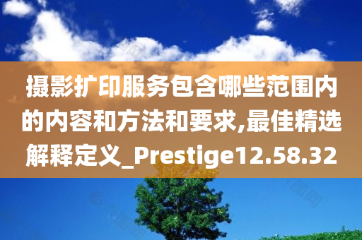 摄影扩印服务包含哪些范围内的内容和方法和要求,最佳精选解释定义_Prestige12.58.32