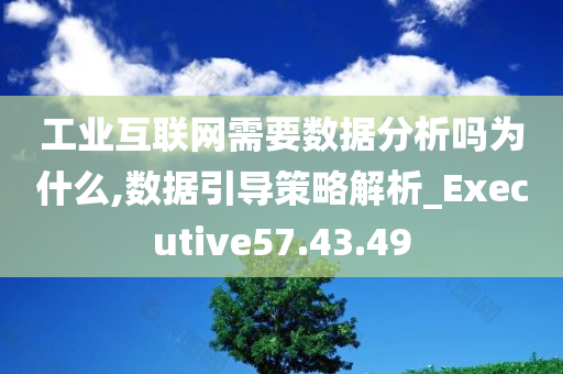 工业互联网需要数据分析吗为什么,数据引导策略解析_Executive57.43.49