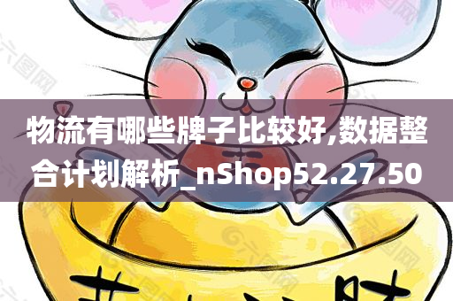 物流有哪些牌子比较好,数据整合计划解析_nShop52.27.50