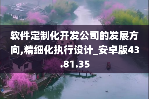 软件定制化开发公司的发展方向,精细化执行设计_安卓版43.81.35