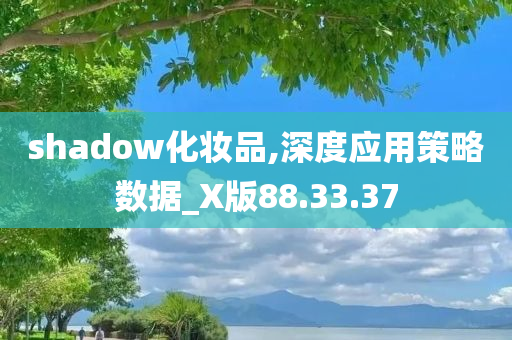 shadow化妆品,深度应用策略数据_X版88.33.37