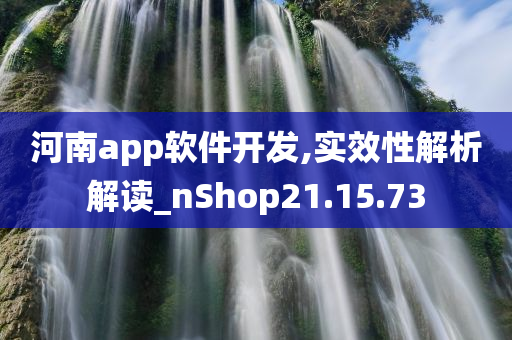 河南app软件开发,实效性解析解读_nShop21.15.73