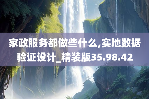 家政服务都做些什么,实地数据验证设计_精装版35.98.42