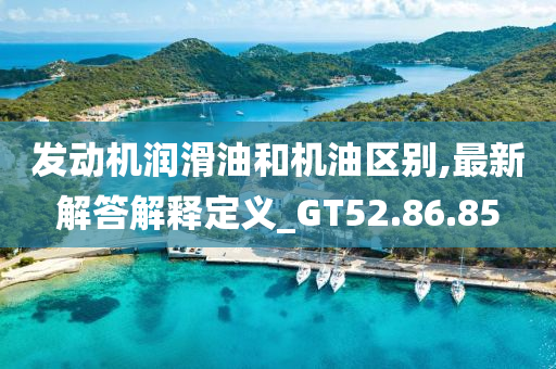 发动机润滑油和机油区别,最新解答解释定义_GT52.86.85