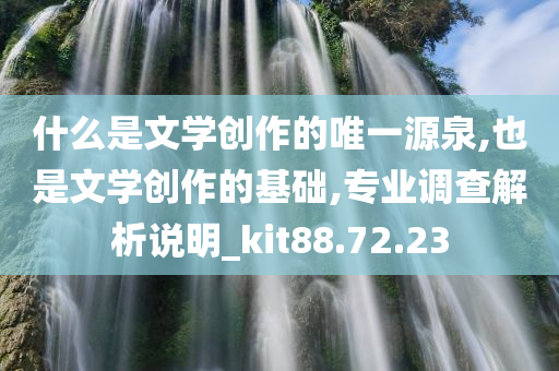 什么是文学创作的唯一源泉,也是文学创作的基础,专业调查解析说明_kit88.72.23