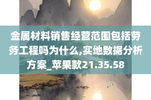 金属材料销售经营范围包括劳务工程吗为什么,实地数据分析方案_苹果款21.35.58