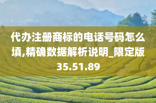 代办注册商标的电话号码怎么填,精确数据解析说明_限定版35.51.89