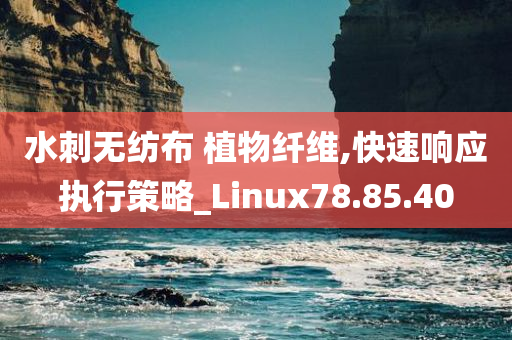 水刺无纺布 植物纤维,快速响应执行策略_Linux78.85.40