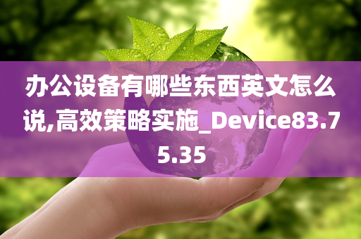 办公设备有哪些东西英文怎么说,高效策略实施_Device83.75.35