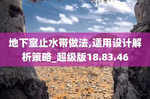 地下室止水带做法,适用设计解析策略_超级版18.83.46